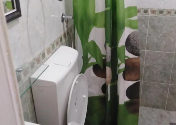 Olga דירה סומבור